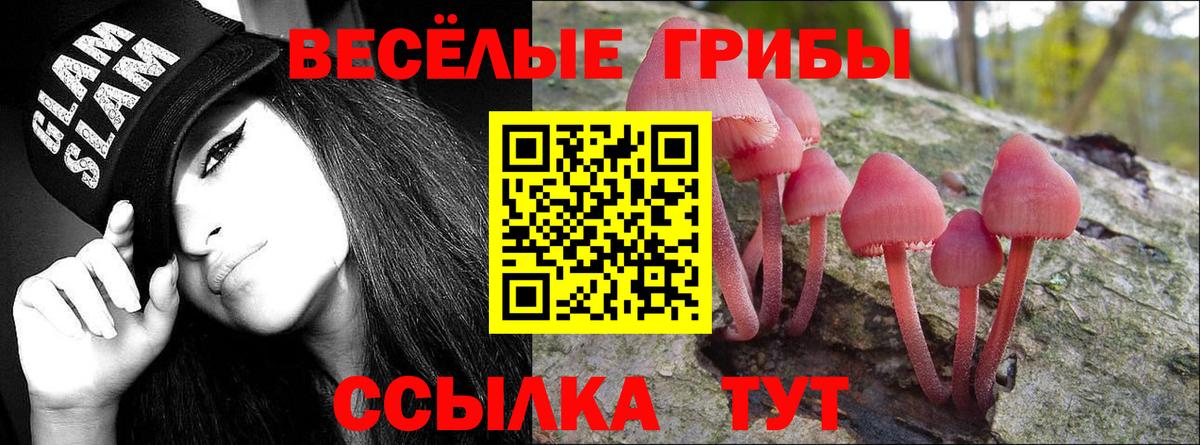 Псилоцибиновые грибы ЛСД Нижневартовск